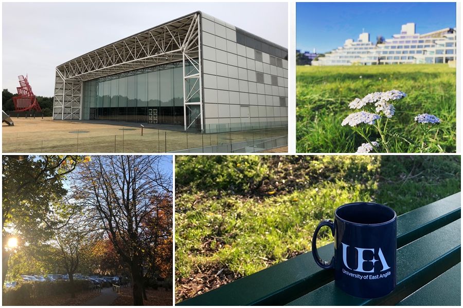 【英國留學生活心得分享- 東安格利亞大學(University of East Anglia)】