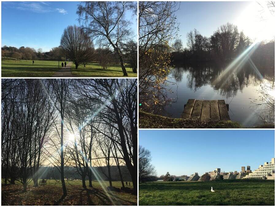 強烈建議要有工作經驗再來申請會比較「超值」