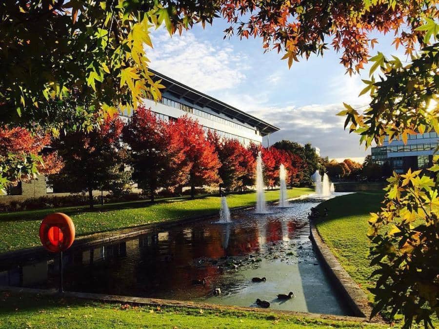 謝謝津橋這一路上的幫助，讓我可以有系統地申請學校，也解決各種申請時的疑問