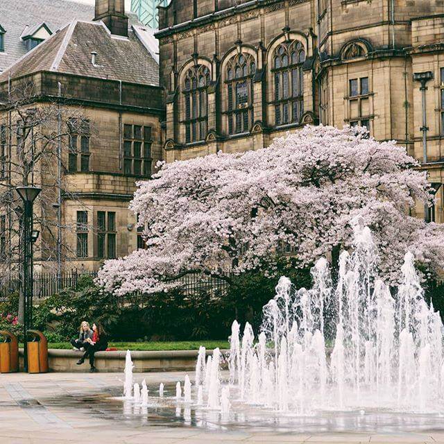 簡單來說沒有津橋我就沒辦法申請學校!