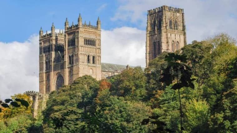 顧問們提供許多的協助，解決我的擔憂及不安，真的很感謝津橋的顧問們