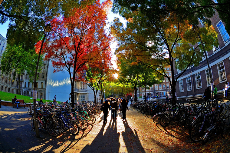 因為有津橋的幫忙，讓我很順利地拿到所有申請學校的offer