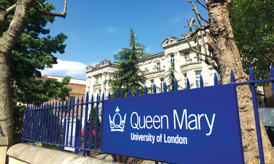 津橋給予適當的分析，不同的意見