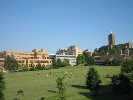 我的兩名顧問Tina & Carol超有耐心，有任何問題都會即時回覆我並提供我有效的建議。