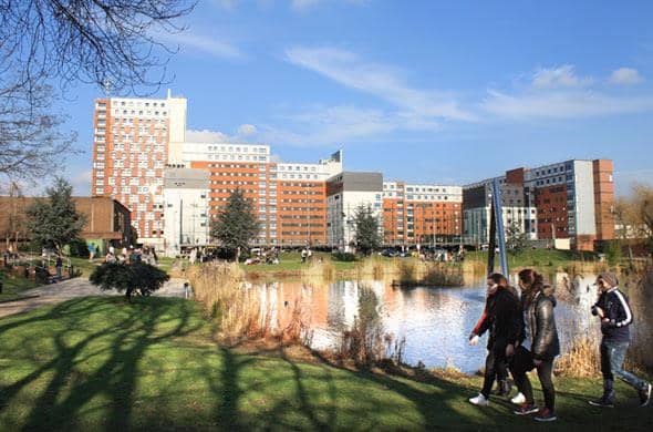 我很感謝Ruby花時間讓我好好思考哪個最適合我，也讓我最後真的選到了自己想念的科系！