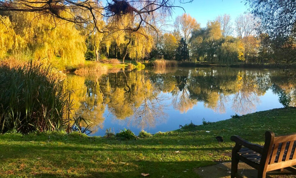 University of Surrey 薩里大學校園4
