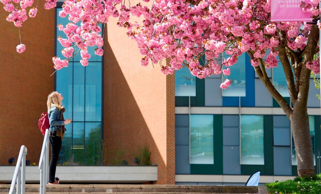 University of Sussex 薩塞克斯大學校園5