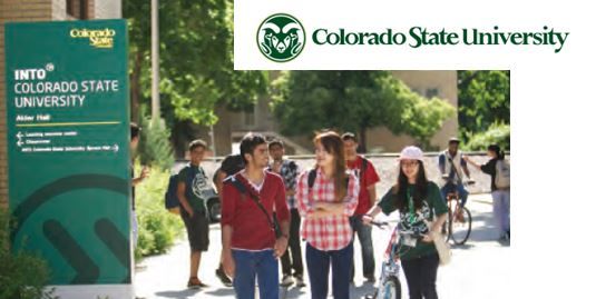 Colorado State University 科羅拉多州立大學校園4
