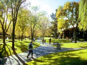 Foothill College-山麓學院校園1