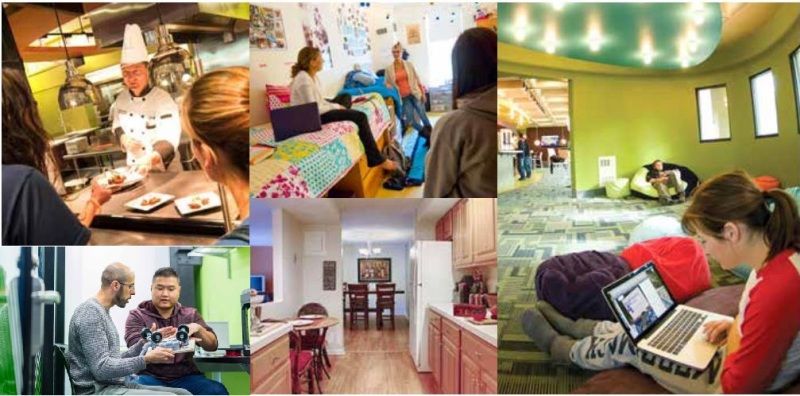 Merrimack College 莫瑞麥克學院校園生活