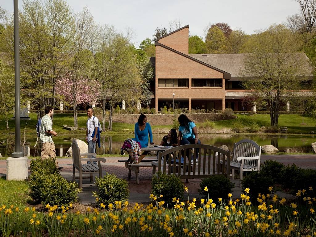 Pace University 佩斯大學校園3