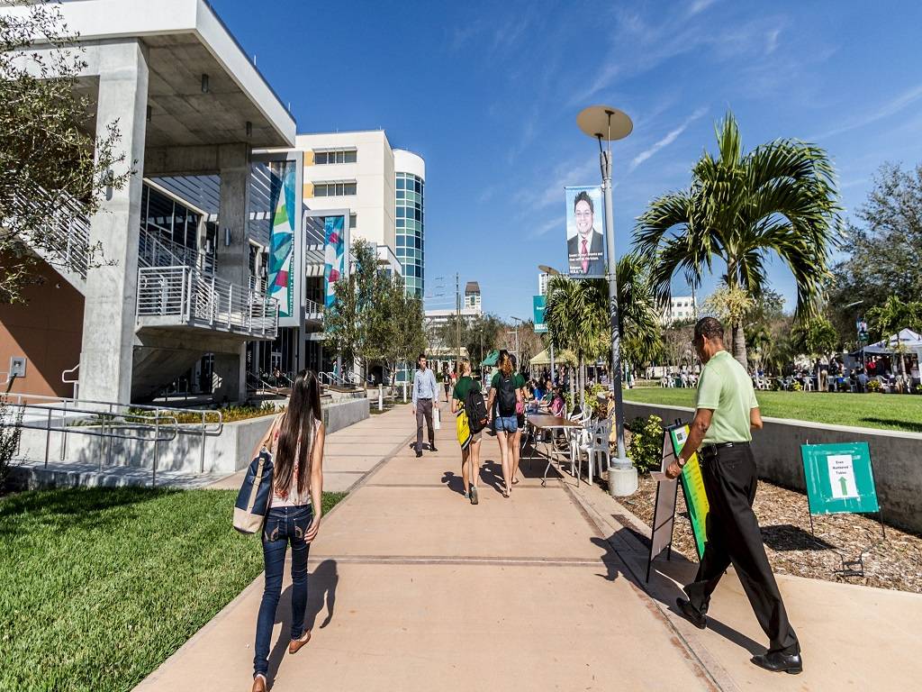 University of South Florida 南佛羅里達州大學校園2