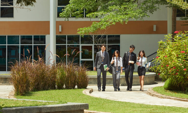 IBCP-Banner
